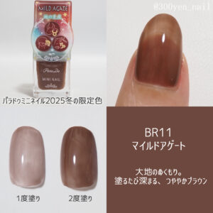 パラドゥミニネイル2025年冬BR11 マイルドアゲート