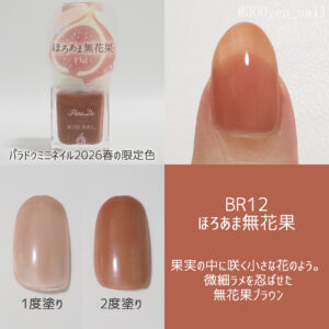 パラドゥミニネイル2026年春新色BR12ほろあま無花果