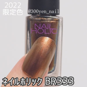 ネイルホリック2022年秋冬新色限定色BR333