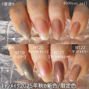 canmakeキャンメイク2025年秋の新色限定色自爪スウォッチ